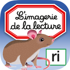 Imagerie lecture interactive icône