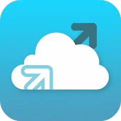 flexVDI Client