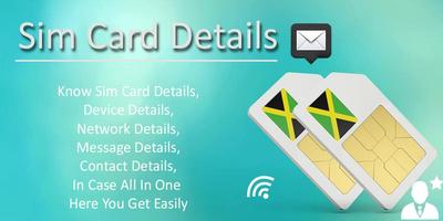 Mobile Sim Card Details Plakat