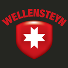 Wellensteyn icon