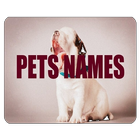 Pets Names 아이콘