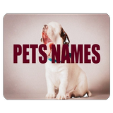 Pets Names 图标