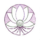 IRS my classes APK