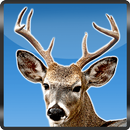 Archery selva Deer Hunting 3D APK