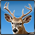 Archery Jungle Deer Hunting 3D-icoon