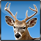 Tiro con arco de ciervos 3D icono