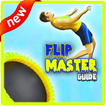 Guide for Flip Master