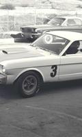 Jigsaw Puzzles Mustang Shelby GT350 screenshot 2