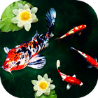 3D Koi Fish Wallpaper icon