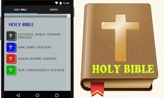 Holy Bible 2015 Affiche