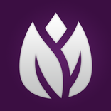 ”Floraria FlorideLux.ro