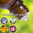 APK Flores de Bach - Grátis