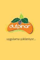 Dutpınar Affiche