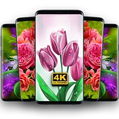Flower Wallpaper Free APK download