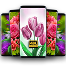 Цветочные обои бесплатно APK