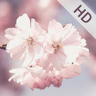 Flower Wallpapers 4K icon