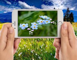 Flower Photo Frames capture d'écran 1