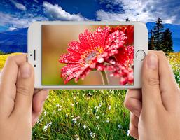 برنامه‌نما Flower Photo Frames عکس از صفحه