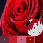 Flower Color By Number, flower icon