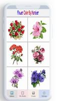 꽃 색깔, 꽃 색칠 공부 페이지 포스터