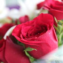 Lock Screen Flower APK