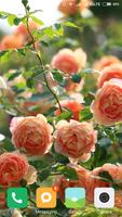 Garden Wallpapers 截图 3