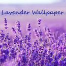 Lavender Flower Wallpaper APK