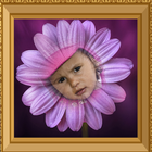 Flowers Photo Frame icon