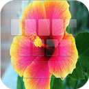 Flower Photo Keyboard APK