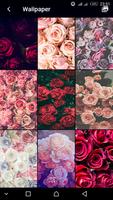 Poster Roses Flowers Spring Lock Scre