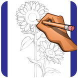 How to Draw Flowers