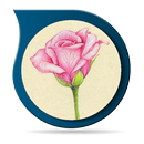 与铅笔的花图画 APK