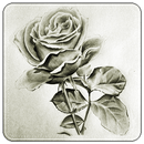 flower drawing ideas-APK