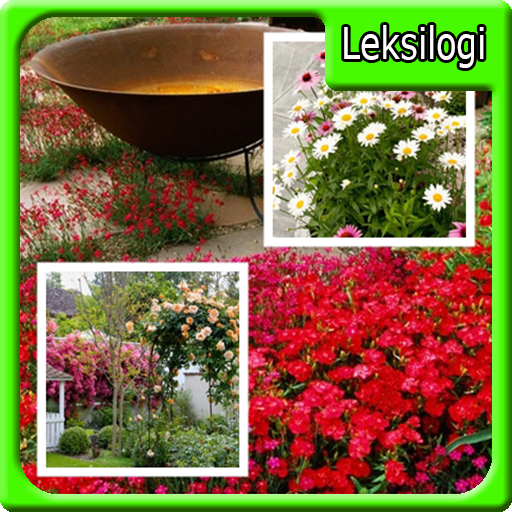 ideias para o jardim de flores