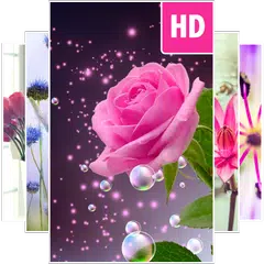 Flower Wallpapers APK download