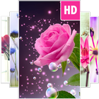 Flower Wallpapers icon