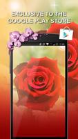 Flower Wallpapers syot layar 1