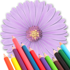 Icona Pagine da colorare FLOWER GRATIS