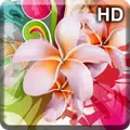 Flower Wallpapers