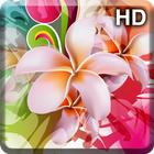 Flowers Wallpaper آئیکن