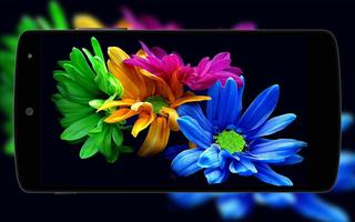 Flowers Wallpaper اسکرین شاٹ 1