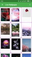 Flowers Live Wallpapers постер