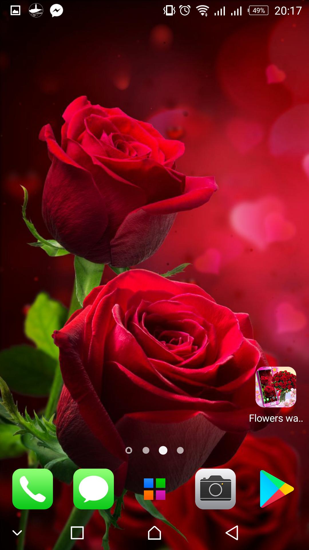 Wallpaper Bunga Mawar Estetik WallpaperShit Wallpaper Bunga Mawar Estetik WallpaperShit