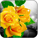 Flowers Live Wallpaper-APK