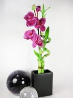 flower vase design Affiche