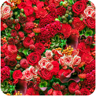 Flowers Wallpaper آئیکن