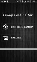 Poster Funny Face Editor
