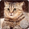 Cat Password Lock Screen APK