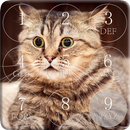 Cat Password Lock Screen aplikacja