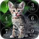 Kitten Lock Screen APK